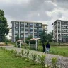 Örnek Resim