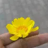 Örnek Resim