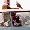 Örnek Resim
