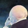 Örnek Resim