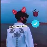 รrnek Resim