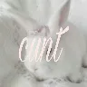 รrnek Resim