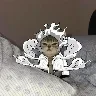 รrnek Resim