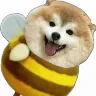 Örnek Resim
