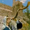 Örnek Resim
