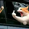 รrnek Resim