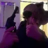 Örnek Resim