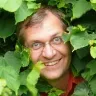 Örnek Resim