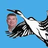 Örnek Resim
