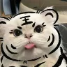 รrnek Resim