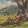 Örnek Resim