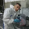 Örnek Resim