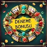 Örnek Resim