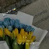 Örnek Resim