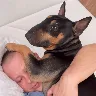 Örnek Resim