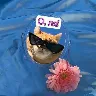 Örnek Resim