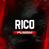 Γrnek Resim