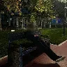 Örnek Resim