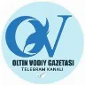Örnek Resim